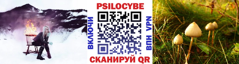 Псилоцибиновые грибы ЛСД  Сунжа 