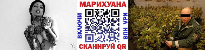 МАРИХУАНА конопля Сунжа